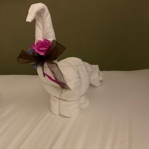 Meet your Posher, Drashti